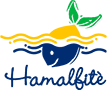 Hamalfitè
